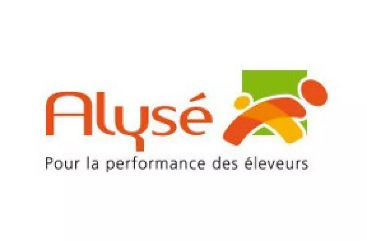 Alysé!jpg